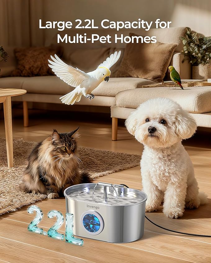 Invengo Cat Water Fountain Stainless Steel: 2.2L/74oz Automatic Pet Water Fountain for Cats & Dogs, Quiet Cat Fountain with 5-Layer Filter, Easy to Clean & Durable Dog Water Fountain