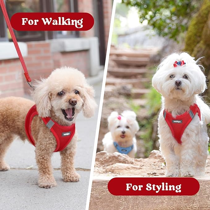 rabbitgoo Small Dog Harness, Step-in Soft Mesh Puppy Vest with Safety Buckle, Breathable Reflective Pet Harness for Small Sized Dogs, Red M