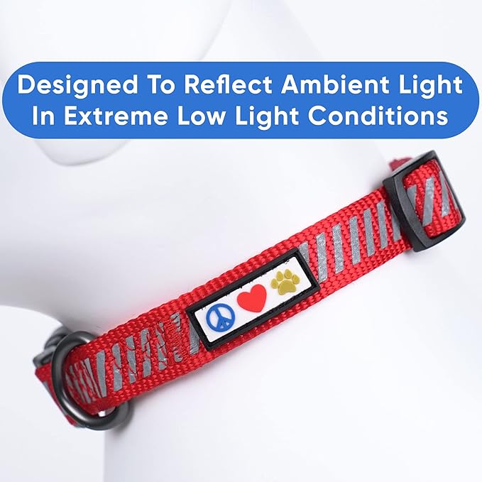 Pawtitas Reflective Dog Collar - Personalized Name & Phone Number, Adjustable for Extra Small Dogs & Puppies - Red