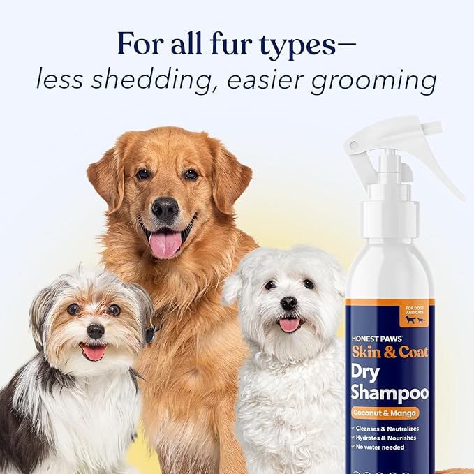 Honest Paws Dog Dry Shampoo - Waterless No Rinse Spray Formula Reducing Itch Cleanse Hydrate Nourish Dry Skin and Smelly Coat Help Decrease Odor Shedding and Allergies - Coconut & Mango - 8 oz