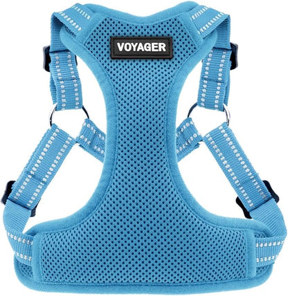 Best Pet Supplies Voyager Adjustable Step-In Flex Breathable Mesh Dog Harness for Small Medium Large Dogs (Baby Blue), S