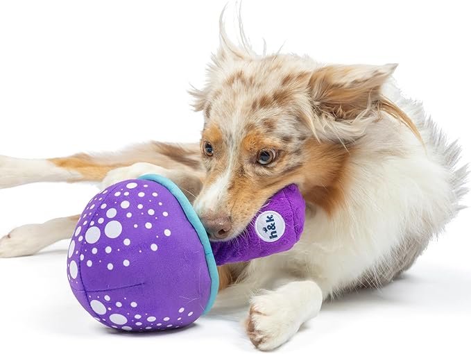 Huxley & Kent for Dogs | Mellow Mushroom (Small) | Funny Dog Toy | Power Plush Dog Toy with Squeaker | Dog Gift | Fun, Durable | H&K Squeaky Dog Toy, Purple, Blue