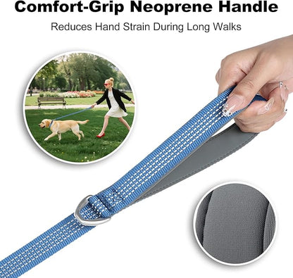 Plutus Pet Heavy Duty Dog Leash with Lockable Aluminum Carabiner, 4/6 Feet Long, Double-Sided Reflective Nylon, Padded Handle, for Puppy, Small, Medium and Large Dogs (Blue, 4/5" x 6')