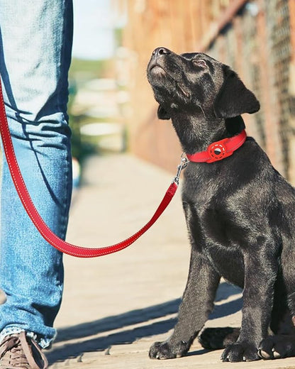 6FT Reflective Nylon Dog Leash with Soft Padded Handle for Walking, Running and Training, Supports Small Medium and Large Dogs (Red, 3/4Inch Wide)