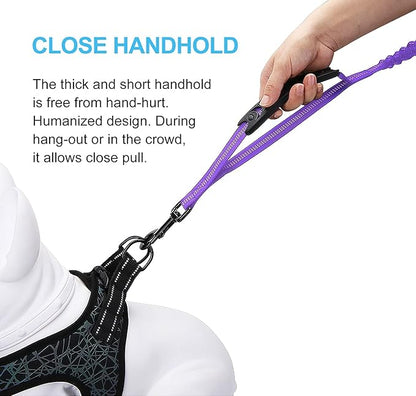 LEADSOM 6FT Highly Reflective Heavy Duty Elastic Bungee Medium and Large Dog Leash Shock Absorbing with Comfortable Padded Handle and Traffic Handle Suitable for Training