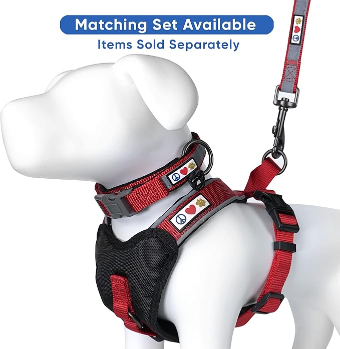 Pawtitas Personalized Red Dog Leash 6 ft Custom ID Lead for Dogs & Puppies Reflective Comfortable Padded Handle Embroidered Name & Phone Number