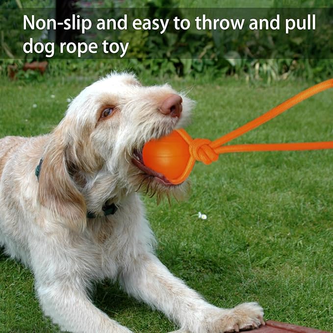 Floating Foam Dog Ball On a Rope Dog Toy, Tug Ball Toy for Small Medium Large Dogs