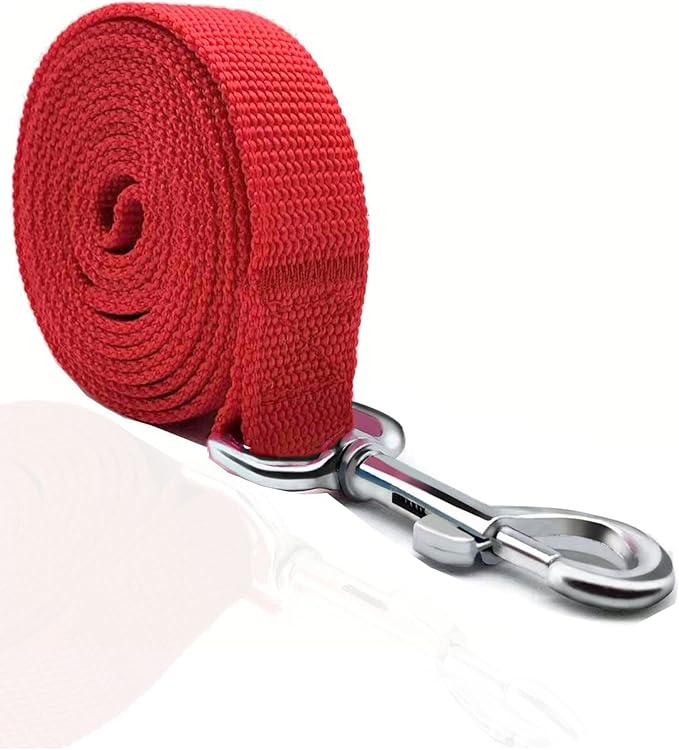 TAIAN 4FT/5FT/6FT Strong Dog Leash, Nylon Dog Leashes for Small Medium Large Dogs (1 in x 5 ft, Red)