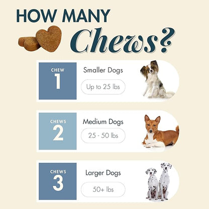 Wholistic Pet Hip & Joint Supplement for Dogs - MSM, Glucosamine, Chondroitin for Dogs - Dog Joint Supplement for Support & Relief from Discomfort - Bacon - 90 Mobility Chews
