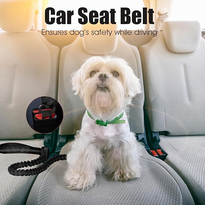 BUMBIN 6Ft Bungee Leash With 2 Handles for Large, Medium, Small Dogs - Heavy Duty, No Pull Shock Absorbing With Car Seat Belt for Training, Black