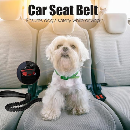 BUMBIN 6Ft Bungee Leash With 2 Handles for Large, Medium, Small Dogs - Heavy Duty, No Pull Shock Absorbing With Car Seat Belt for Training, Black