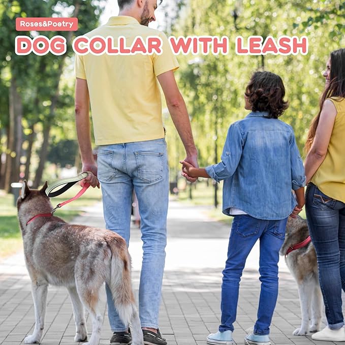 Roses&Poetry Pink Dog Leash and Collar Set, Reflective Dog Collar and Leash for Large Dogs, Adjustable Durable Matching Collars with Leashes for Large Dogs (Pink Gradient-L)