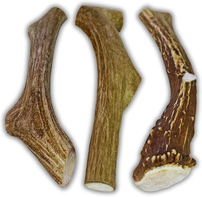 WhiteTail Naturals (3 Pack Deer Antlers for Large Dogs, Antler Dog Chews - Crafted in USA Dog Antler - Long Lasting Bone for Aggressive Chewers
