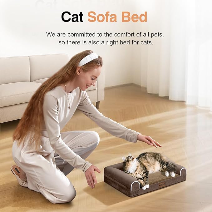 Small Dog Bed Orthopedic Washable: Beds Bolster Small Sized Dogs Cats Bed Egg Crate Foam Couch Sofa Waterproof with Removable Cover - Brown