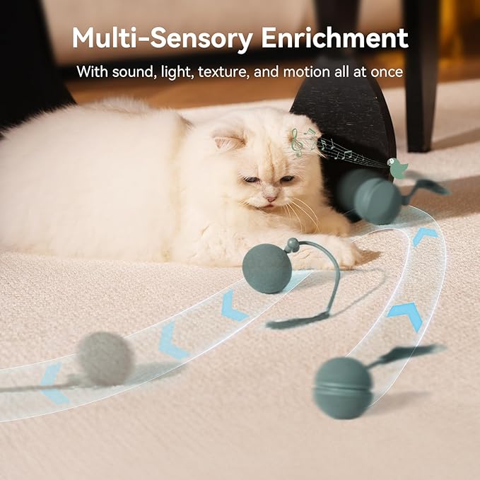 Hoochii 2 in 1 Interactive Cat Toys for Indoor Cats - Wicked Ball Duo2 Automatic Cat Toy, Rolling Ball & Spinning Top, Electric Cat Toy Balls with Chirping Sounds & Speedy Tail, Moving Kitten Toys