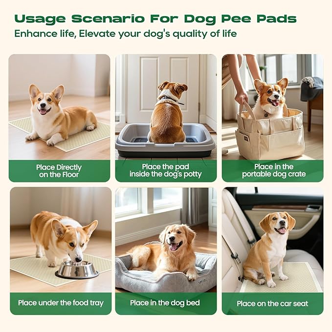 DOGGO DOUG Puppy Pads 100 Count Small 22x22in Bamboo Training Pads Deodorizing Leakproof Quick Drying Dog Pee Pads Super Absorbent Disposable Pee Pads for Dogs Puppies, Doggie, Cats, Rabbits