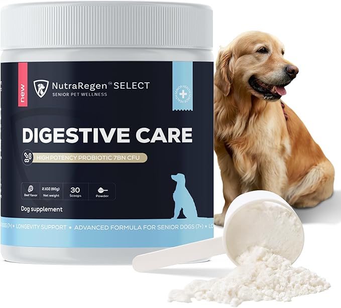 Select Digestive Senior Dog Probiotic Powder 30 Scoops | Beef Flavored Dog Probiotics for Digestive Health, Supports Gut Health, Scratching, Itchy & Dry Skin, Allergies 2.1 Oz | 7 Bn CFU