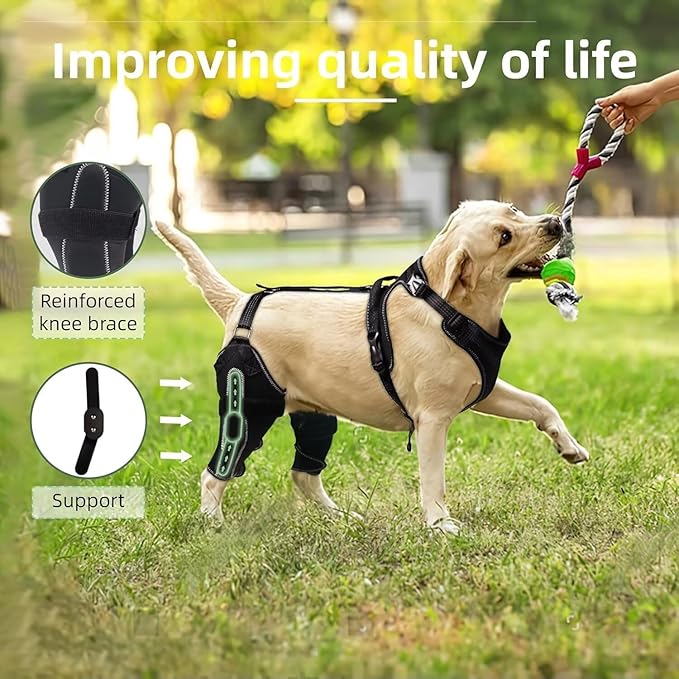 Dog Knee Brace for ACL/CCL Injuries,Torn Ligament,Pain Relief,Joint Warmth,Luxating Patella - Rear Leg Support,Both Legs,Black,M