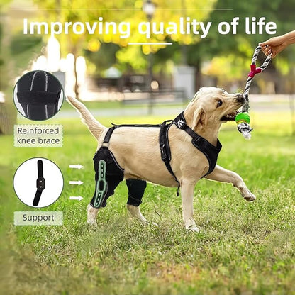Dog Knee Brace for ACL/CCL Injuries,Torn Ligament,Pain Relief,Joint Warmth,Luxating Patella - Rear Leg Support,Both Legs,Black,M