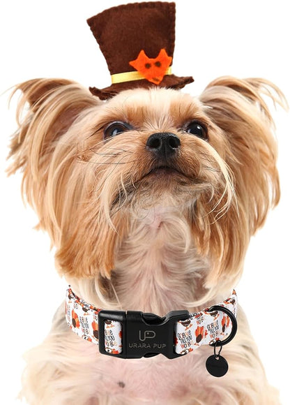 Thanksgiving Dog Collar, Turkey Cotton for Dog or Cat, Autumn Puppy With Lightweight Plastic Buckle, Great Gift for Girl Boy Dogs, S