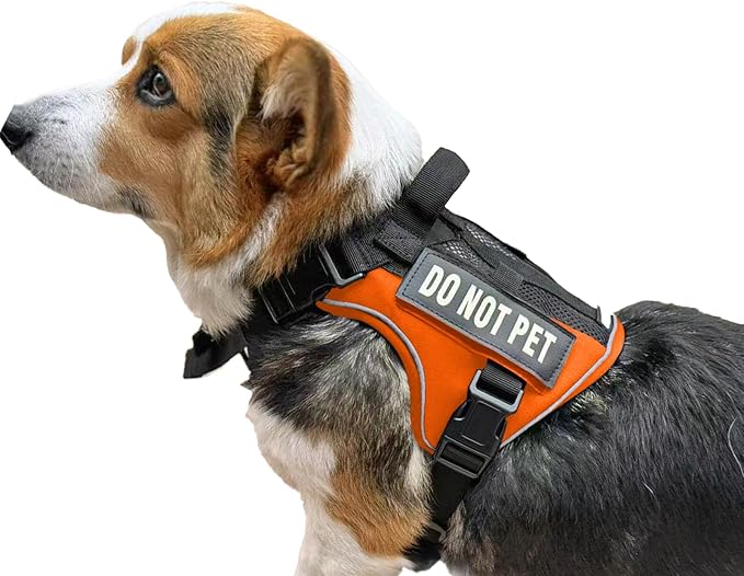 Tactical Dog Harness for Small and Medium Breeds, Air Dog Vest No Pull with Reflective Do Not Pet Patches, Breathable Dog Molle Vests for Training Walking Hunting Orange