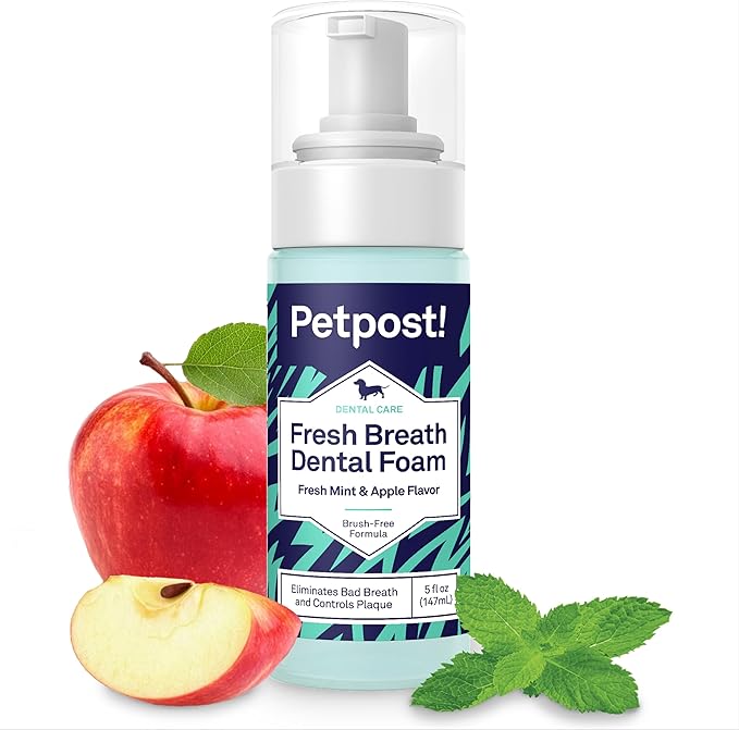 Petpost | Fresh Breath Foam for Dogs - Mint & Apple Flavored Dental Solution That Eliminates Bad Breath - Natural Tooth Cleaning Treatment 5 oz.