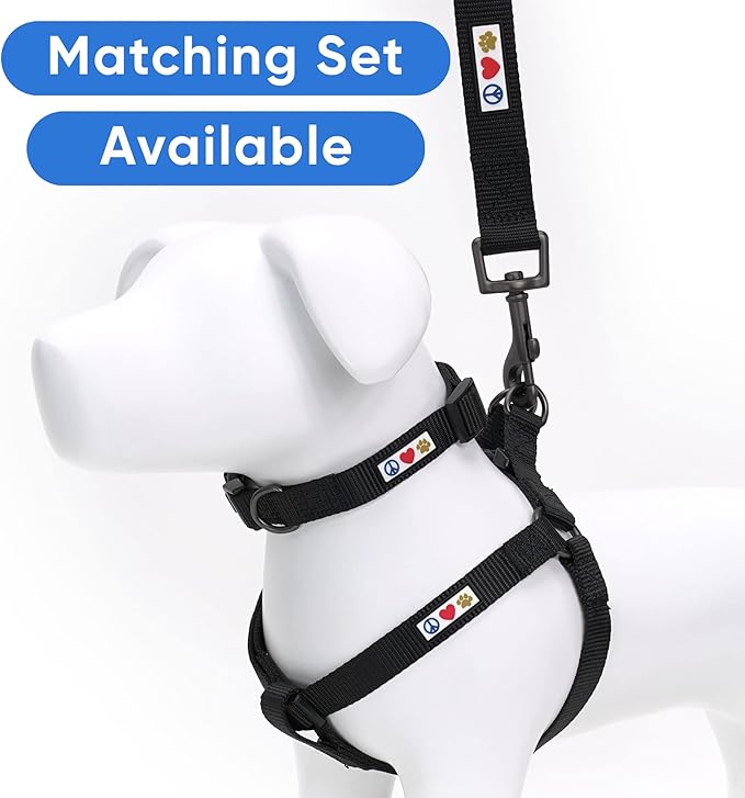 Pawtitas Personalized 6 ft Black Dog Leash XXS/Cat Custom Name and Phone Embroidery Strong Nylon Leash for Small Breeds
