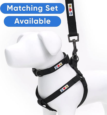Pawtitas Personalized 6 ft Black Dog Leash XS/S Custom Name and Phone Embroidery Strong Nylon Leash for Small Breeds