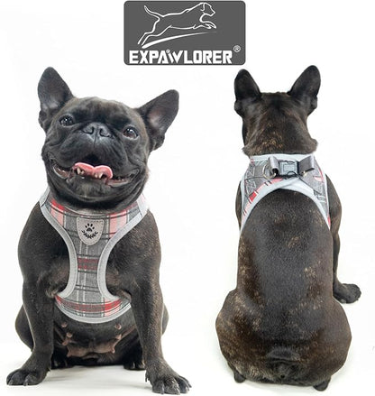 EXPAWLORER Classic Plaid Puppy Harness - Dog Collar and Leash - Soft Mesh Padded Adjustable Step in Small Dog Vest Harness No Pull, Reflective Escape Proof for Outdoor Walking, Grey Small