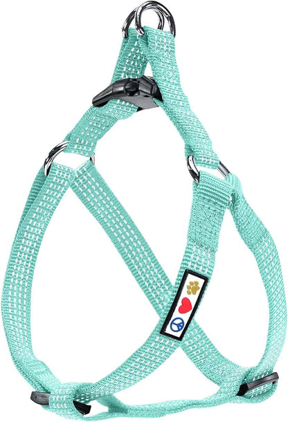 Pawtitas Reflective Step-in Dog Harness – Adjustable No-Pull Vest for Puppies to Seniors, Safe & Comfortable, M Teal