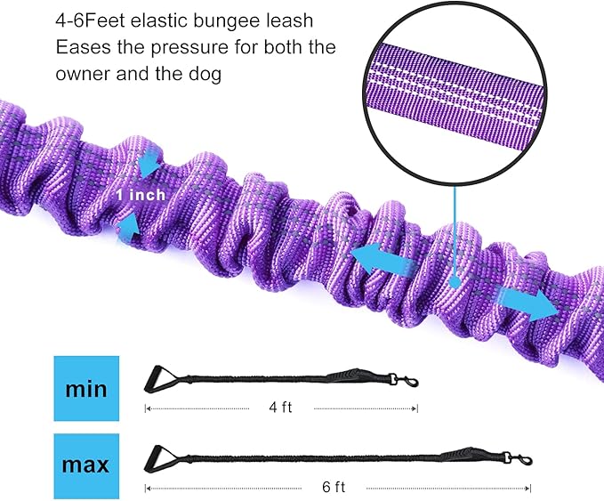 LEADSOM 6FT Highly Reflective Heavy Duty Elastic Bungee Medium and Large Dog Leash Shock Absorbing with Comfortable Padded Handle and Traffic Handle Suitable for Training