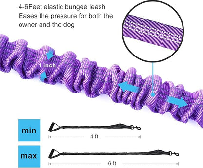 LEADSOM 6FT Highly Reflective Heavy Duty Elastic Bungee Medium and Large Dog Leash Shock Absorbing with Comfortable Padded Handle and Traffic Handle Suitable for Training