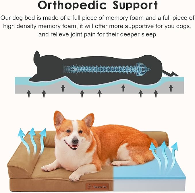 Rainmr Orthopedic Dog Bed Medium Size Dog, Memory Foam Dogs Bed for Medium Dogs, Washable and Removable Microsuede Cover, Waterproof Liner, Non-Skid Bottom, 35x23x6 Inches, Khaki