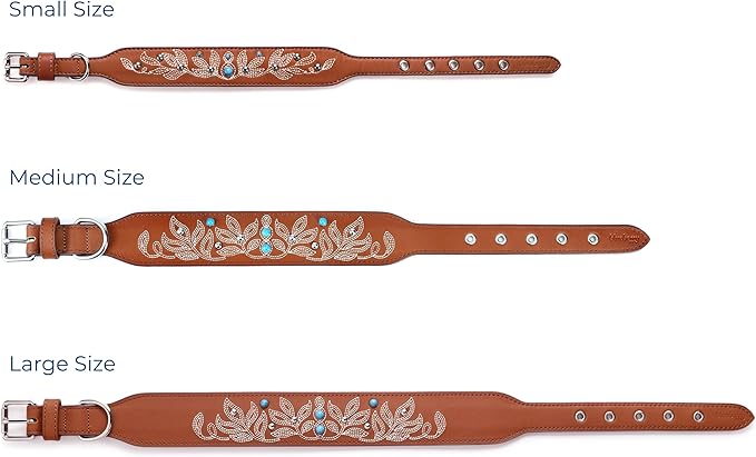 Blueberry Pet Western Dog Collar in Canyon Brown - 12-15 Inch Necks Floral-Embroidered Leather with Turquoise Studs, Dog Collars for Small Dogs, Adjustable Leather Girl Dog Collar