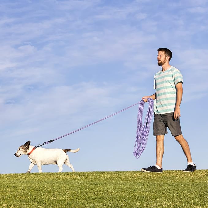 Long Dog Leash for Training 20Ft-Reflective Nylon Rope with Swivel Hook-Recall Agility Lead for Large Small Medium Dogs Outside Walking Hiking-Purple