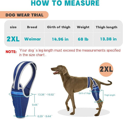 Dog Knee Brace for Torn ACL Hind Leg–Adjustable Support Dog Leg Brace for Back Leg with 2 Stabilizers, Hip Support to Reduces Pain Luxating Patella , Ligament Injuries, CCL (Blue, Left Leg, 2XL)