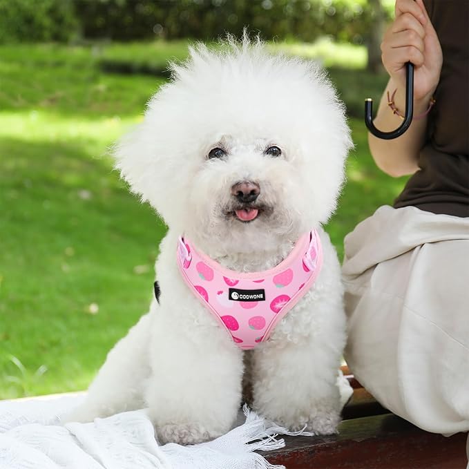 Dog Harness and Leash Set, Adjustable Dog Harness, Dog Leash, No Pull No Choke Puppy Harnesses for Walking Training for Small Medium Pet (Strawberries, S(Chest 13-19", Neck 9.5-13.1"))