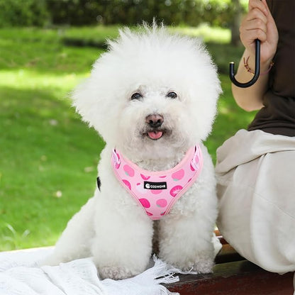 Dog Harness and Leash Set, Adjustable Dog Harness, Dog Leash, No Pull No Choke Puppy Harnesses for Walking Training for Small Medium Pet (Strawberries, XS(Chest 9.9-13.5", Neck 7.8-10.2"))