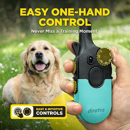 Dogtra 200iQ Remote Training E Collar – 100 Levels, Tone, Vibration, 1/2 Mile Range – Compact, Waterproof, One-Handed Control for Dogs 10 lbs+ – Lightweight Design for Daily Training – Teal