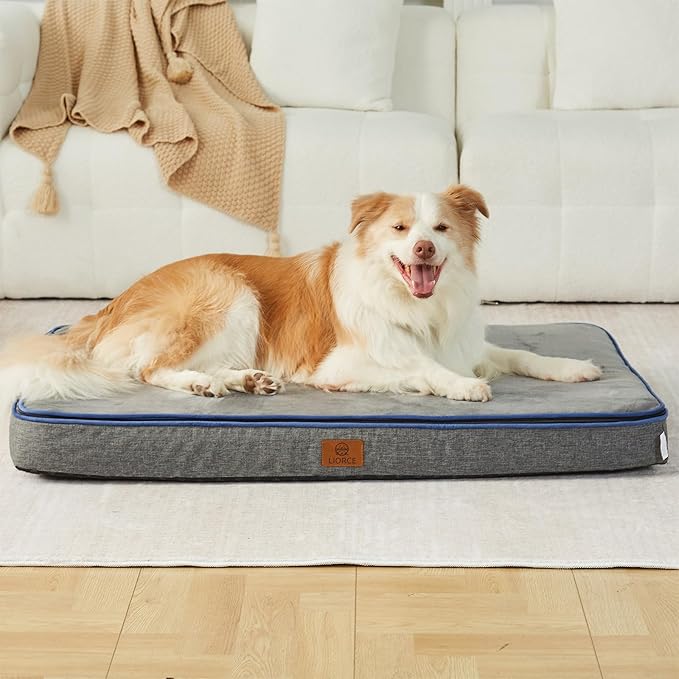 LIORCE Memory Foam XL Dog Bed - 4” Thick Orthopedic Beds for Extra Large Dogs - Waterproof Dog Bed with Removable Washable Cover & Wrap-Around Zipper - Ultimate Comfort and Easy Maintenance