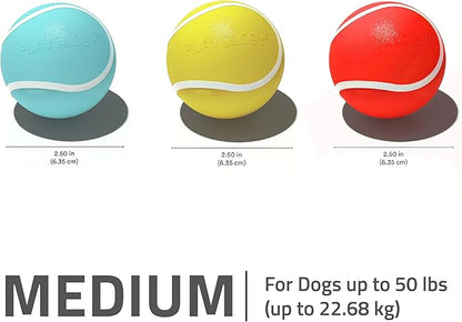 Playology Dog Toys | Rainbow of Scent Chew Toy Gift Box - Squeaky Chew Balls for Dogs | Peanut Butter, Chicken, & Beef Scented Toys - Easy to Clean and Made from Non Toxic Materials