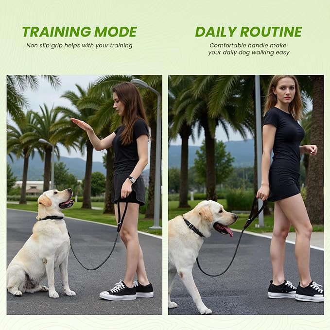 Rope Dog Leash 4 FT, 1/2 Inch Heavy Duty Round Dog Leash with Soft Padded Non-Slip Handle, Reflective Nylon Rope & Strong Metal Clip for Medium Large Giant Dogs,Black