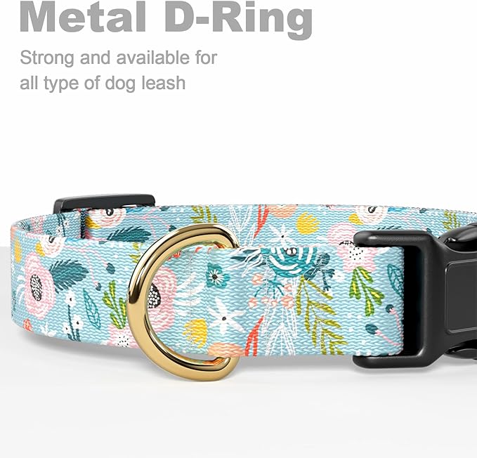 Rnivvi Dog Collar for Small Dogs, Cute Floral Heavy Duty Adjustable Puppy Collar with Quick Release Buckle for Boy Girl & Female, Pet Accessories for Walking Running, XS Length 5/8" Width, Blue