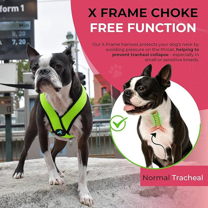 Gooby Comfort X Head in Harness - Green, Small - No Pull Dog Harness with Patented Choke-Free X Frame for Small to Medium Dogs Indoor/Outdoor Use
