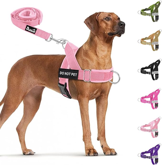 SlowTon No Pull Dog Harness - Heavy Duty Dog Harness and Leash Set for Medium Large Dogs, Reflective Tactical Harness with Soft Padded and Front Clip for Easy Walk and Training (PI, M)