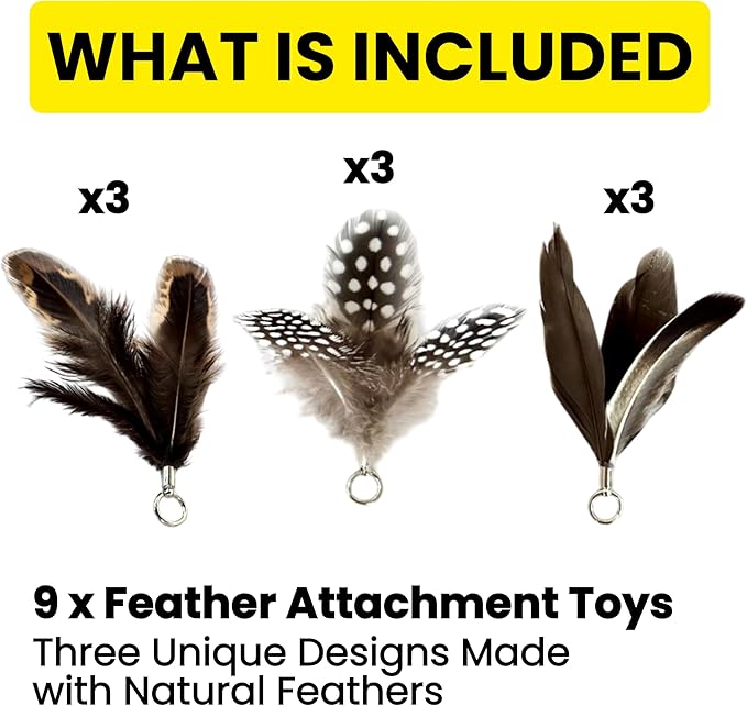 repounce Feather Toys Replacements (9 Pc) - Cat Toys & Kitten Toys for Indoor Kittens, Set of Replacement Feather Attachments Extra Small and Durable, for Cat Wands, Natural and Safe