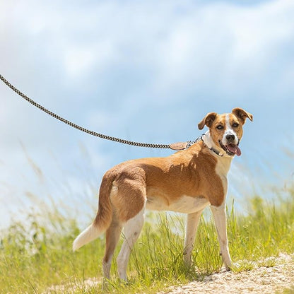 Mile High Life Rope Leash with Genuine Leather Connection, 6 FT/5 FT/4 FT, Heavy Duty Leash for Small Medium & Large Dogs(Black Khaki,72 Inch)