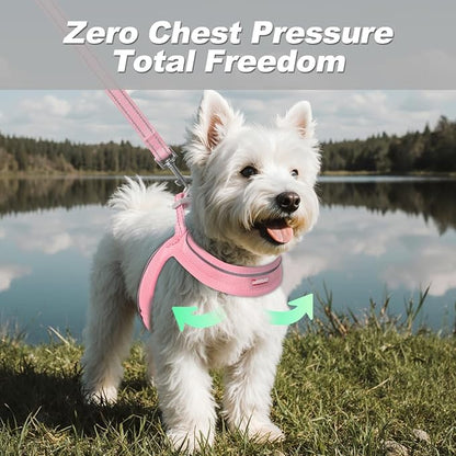 Dog Harness and Leash Set,Step in Small Sized Dog Harness,Soft Mesh,No-Chock,Reflective Adjustable,Secure with Hook & Loop Fastener,Puppy Vest for Small,Medium Dogs(Baby Pink,L)