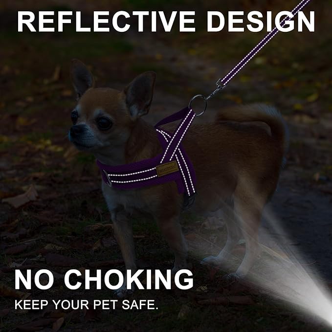 BEAUTYZOO Dog Harness for Small Dogs, No Pull Dog Harness and Leash Set, Soft Escape Proof Puppy Vest Harness with Handle, Reflective Lightweight Step in Harness for Girl Boy Dogs, Purple XS
