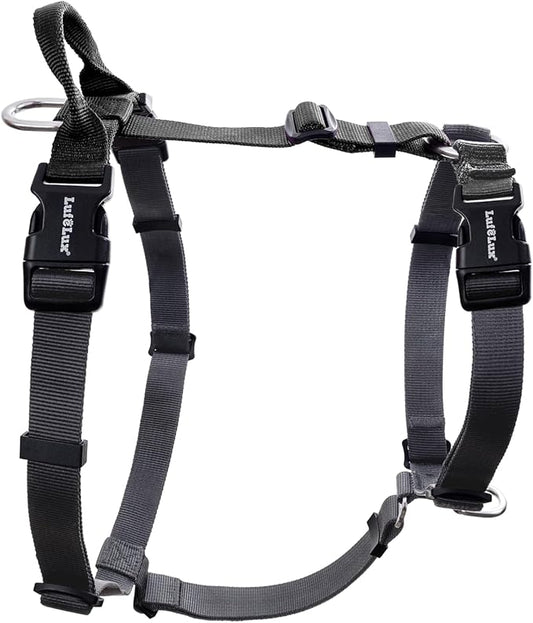 Non Restrictive No Pull Dog Harness, Neck Buckle Desgin, Back Handler, Lightweight Easy Walk Freedom Harness, Six Points Adjustment, Small Dogs Chest(17-23inches) Black